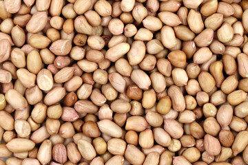 close up of peanuts