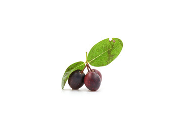 plums with leaves