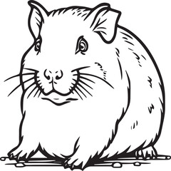 Guinea pig coloring pages. Guinea pig outline vector for kids coloring book