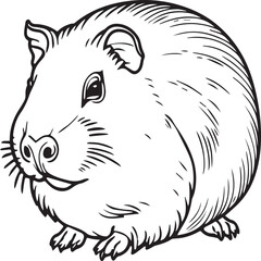 Guinea pig coloring pages. Guinea pig outline vector for kids coloring book