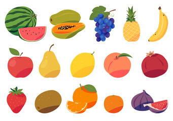Set of fruits and berries in cartoon style. Edible tasty fruits. Tropical exotic refreshing food. Vector illustration