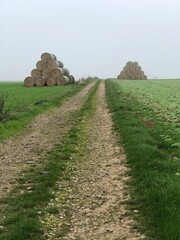 Hay rolls along a rural road in Hauts-de-France. - 775058719