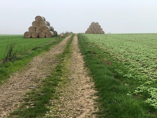 Hay rolls along a rural road in Hauts-de-France. - 775059321