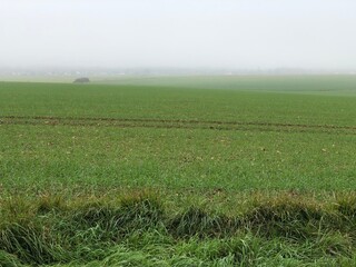 Hauts-de-France fields in the mist. - 775059549