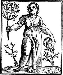 A woodcut of a woman holding a branch and shell, perfect for projects related to classic art, mythology, or nature themes.