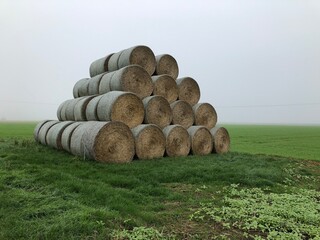Hay rolls in a field in Hauts-de-France. - 775059911