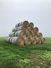 Hay rolls in a field in Hauts-de-France. - 775059916