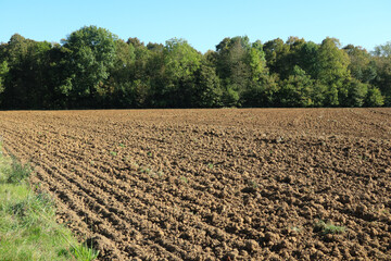 Agriculture in the Oise is essentially based on large farms. A very important mechanization allows the management of large surfaces by calling on many advanced techniques. - 775059924