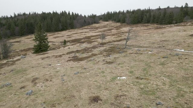 Survol en drone de la route des cr&egrave;tes et des prairies d'altitude dans les Vosges &agrave; la sortie de l'hiver