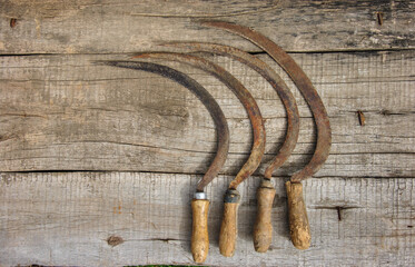 different old rusty sickles with wooden handles on a wooden background