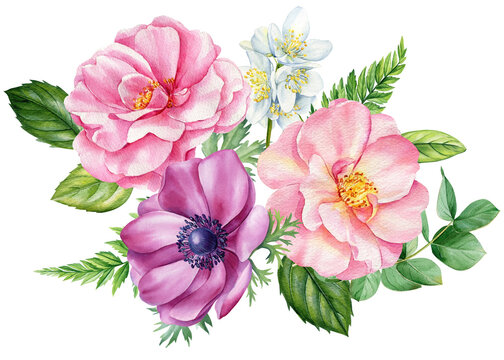 Vintage floral anemones, roses, peony on isolated white background. Watercolor hand drawn botanical illustration, flora