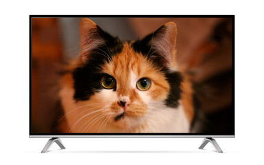 TV screen isolated with three colored cat wallpaper