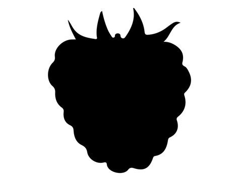 Raspberry silhouette vector art white background
