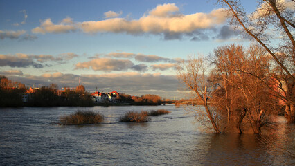 High water levels of the river Elbe in Magdeburg, Germany