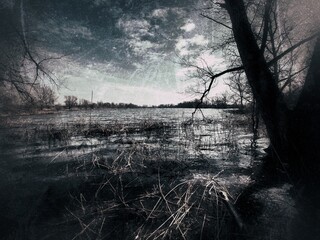 Grungy shot of lakeside with bare trees and sunlight - 775085791