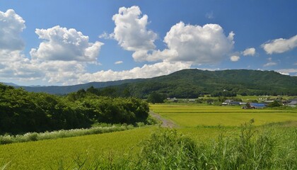 日本の夏の田園風景_02