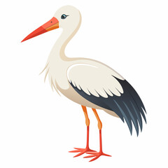 stork--on-a-white-background--no-background