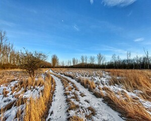 Winterly meadow in Germany with road and blue sky - 775087704
