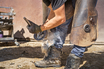The farrier presses the hot horseshoe against the horse's hoof to take its shape for a precise fit....