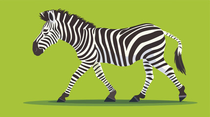 Fototapeta na wymiar Cartoon zebra walking animation on the green screen 
