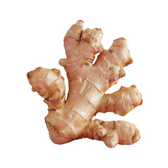 Close up of ginger root on Transparent Background