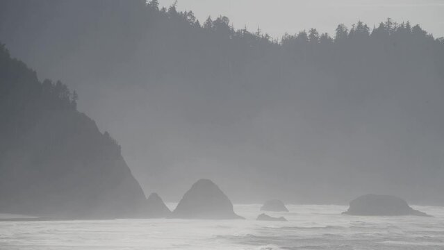 Fog over the rugged, forested shoreline at Oswald West State Park