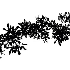 Vector shadow overlay effect, Leaves shadow, tree silhouette, leaves vector illustration