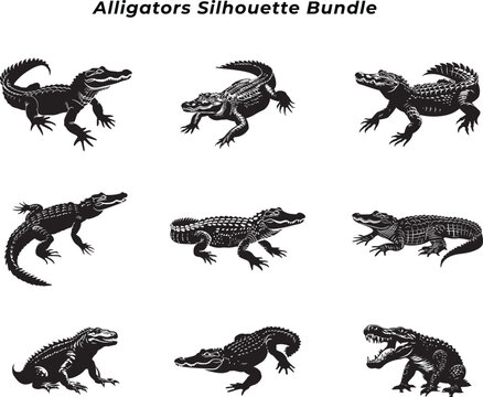 alligator silhouette bundle