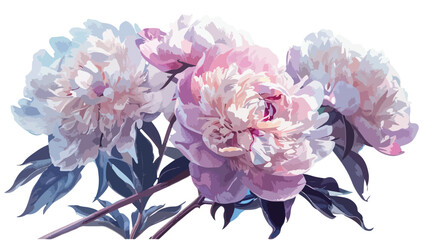 Drawing in oil still life of peonies painted with oil