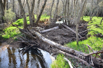 Sierra de la Culebra (Villardeciervos)