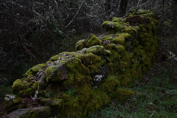 Sierra de la Culebra (Villardeciervos)