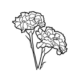 Nelke - Stilisierte Geburtsblume als Linienzeichnung in weißem Kreis auf transparentem Untergrund für die verwendung als Label oder Button