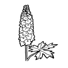 Rittersporn - Stilisierte Geburtsblume als Linienzeichnung in weißem Kreis auf transparentem Untergrund für die verwendung als Label oder Button