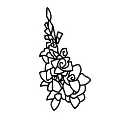 Gladiole - Stilisierte Geburtsblume als Linienzeichnung in weißem Kreis auf transparentem Untergrund für die verwendung als Label oder Button