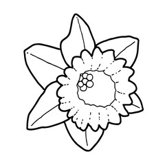 Narzisse - Stilisierte Geburtsblume als Linienzeichnung in weißem Kreis auf transparentem Untergrund für die verwendung als Label oder Button