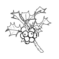 Stechpalme - Stilisierte Geburtsblume als Linienzeichnung in weißem Kreis auf transparentem Untergrund für die verwendung als Label oder Button