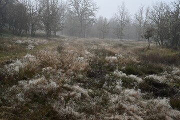 Sierra de la Culebra (Villardeciervos)
