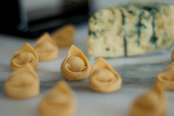 Italian Cappelletti