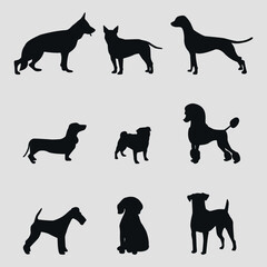Black silhouettes of dogs. 9 pieces. Different breeds of dogs. Vector on gray background
