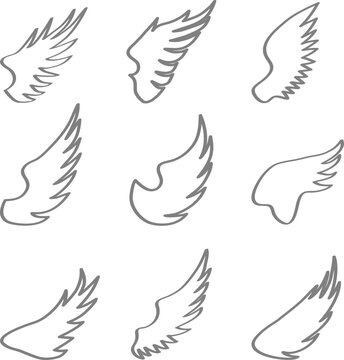 Angel wings, set of angel wings silhouettes isolated on white background. Vector, design illustration. Vector.