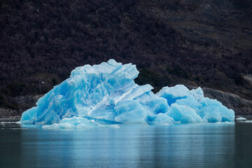 El Arte del Frío: Fotografías Inspiradas en Glaciares