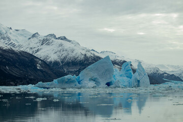 El Encanto Gélido de la Patagonia: Explorando El Calafate