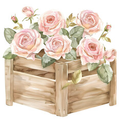 Watercolor painting of pink roses in a wooden box, showcasing delicate blooms arranged beautifully. isolated on a Transparent Background. Generative AI