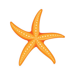 Vector illustration. Starfish isolated on white background