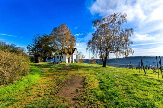Leiwener Kapellchen oder auch Kapelle am Josefsberg genannt, direkt am Weitwanderweg Moselsteig zwischen Leiwen und Piesport im Bundesland Rheinland-Pfalz, Deutschland 