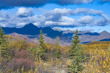 Canada, Yukon, view of the tundra in autumn, with mountains in background, beautiful landscape in a wild country
- 775127760