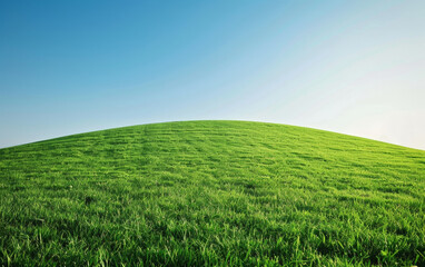 Fototapeta premium A vibrant green hill under a clear sky, providing a simple and fresh summer backdrop with plenty of space for content
