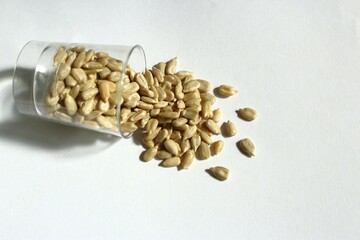 Sun flower seeds on grass photo white background  top view