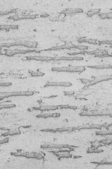 gray stucco facade background. Monolithic stucco decorative background. Silicate-cement plaster for walls.