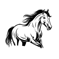horse illustration